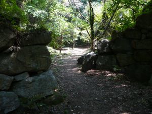 어긋난 호구 흔적