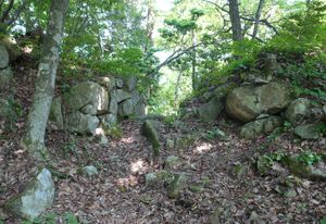 북동쪽 호구 터