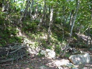 아와지마루 터의 토루