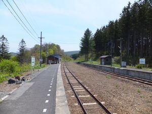 교환 설비 철거 전의 승강장 (2013년 5월)