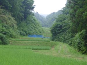 니시미카와의 계단식 논