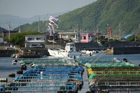 카시와 섬의 어항