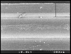 첫 번째 이미지