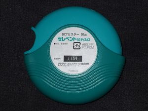 세레벤트 디스커스