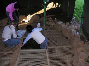 추르노멜 근처 옐셰브니크의 연구 통풍구. 여기서 물과 퇴적물의 품질 검사가 정기적으로 수행되며, 검은 동굴영원의 활동이 IR 카메라로 기록된다.