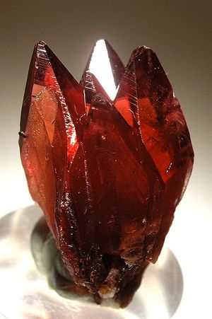 치아 모양의 결정