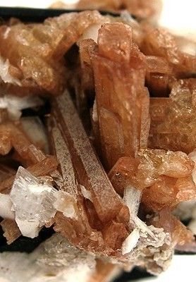 시나몬색 능망가니즈광