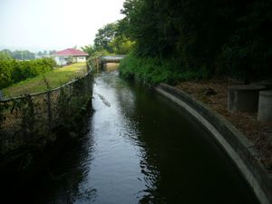 오오토네 용수(소수 100선)