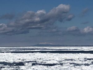 동계의 유빙. 배경의 산은 쿠나시르 섬의 라우스 산.