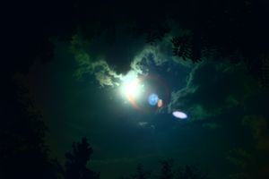 강렬한 햇빛으로 인한 극심한 렌즈 플레어