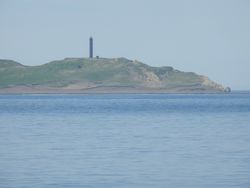 안도이야미사키