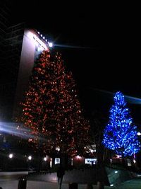 m}}가 넘는 4개의 히말라야 삼나무에 주황색 30000개, 파란색 12600개, 흰색 12600개의 LED가 배치되어 있다)