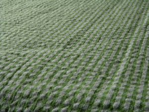 녹색/흰색 체크무늬 시어서커 직물