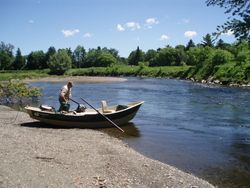 뉴햄프셔주 콜브룩 인근 강에서 일하는 낚시 가이드