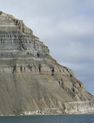 스발바르 제도 노르웨이의 이스피요르덴 북쪽 해안에 있는 층서 단면도. 암석 유형(퇴적상을 나타냄)의 수직적인 연속성은 고(古) 환경의 측면 변화를 반영한다.