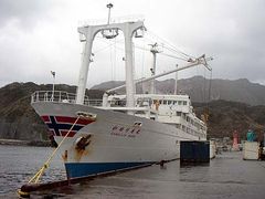 카멜리아마루(고즈시마항)