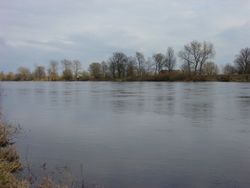 코스트신 부근의 바르타 강