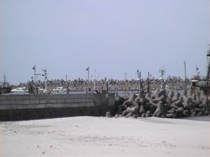 피오네르스키 해변