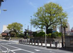 시무라 이치리츠카