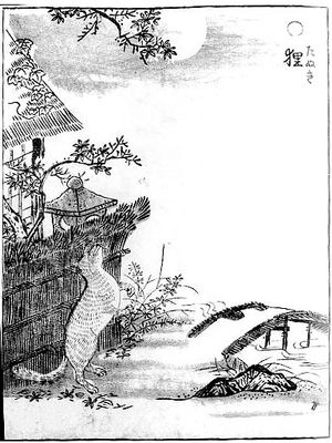 너구리(다누키)