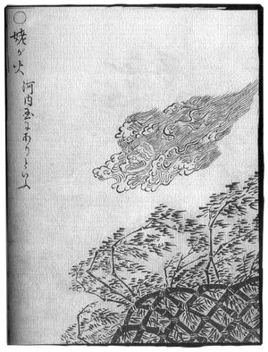 할머니불(우바가비)