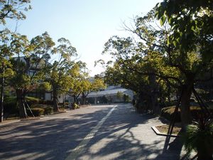 정문에서 이어지는 슬로프