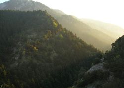 스코테이니 플레브라의 일부