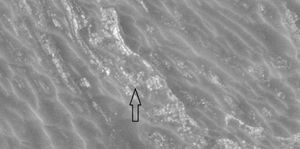 벌집 지형의 근접 뷰, HiWish 프로그램 하에서 HiRISE가 촬영. 이 확대 사진은 물질이 블록으로 부서지는 모습을 보여준다. 화살표는 정육면체 블록을 가리킨다.