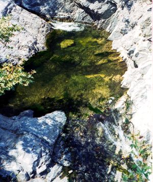 이 섬의 특징인 연못 중 하나