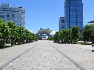 도쿄 국제 전시장에 이르는 길 (2014년 6월 15일)