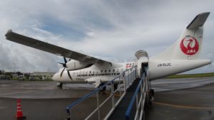 도쿠노시마 공항의 JAL기