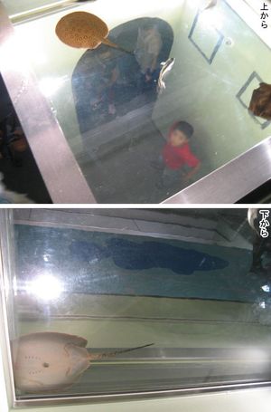 위에서 아래에서 수조