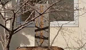 나가사키현립 이키상업고등학교 내에 있는신조 보통 고등 초등학교 부지를 나타내는 비