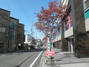 나미카와역에서 국도 9호선으로 이어지는 도로