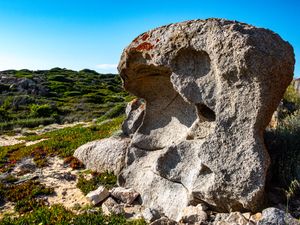 코르시카 해안의 타포니