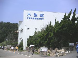 와카야마현시라하마정의 교토 대학 필드 과학 교육 연구 센터 세토 린카이 실험소 수족관