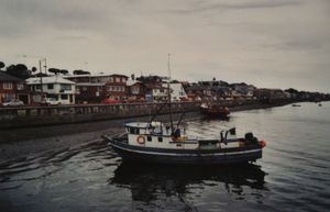 해안 도로 코스타네라 페드로 몬트