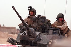 LAV-25의 주무장인 M242 부시마스터(Bushmaster) 25mm 기관포와 보조 무장인 M240 기관총 7.62mm 기관총.