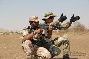 개인화기 사격훈련