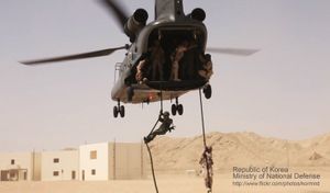 헬리콥터 레펠 훈련