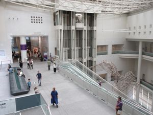 엘리베이터와 에스컬레이터