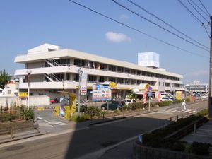 2014년 초까지 현존했던 구 공항 빌딩 (가모이케)