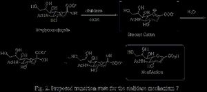 시알리데이즈 메커니즘 7에 대한 제안된 전이 상태