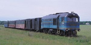 ТУ}}2형 디젤 기관차 견인의 화객 열차