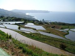 유야 토고하타 지구의 다랑논