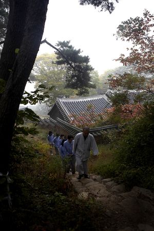 스님과 템플스테이 참가자들이 사찰의 숲길을 걷고 있다 (2008)