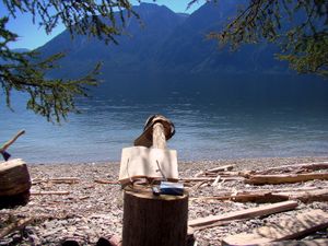 동화, 2010년 8월