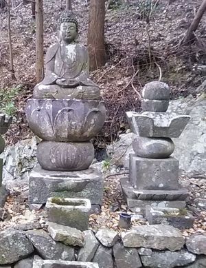 사이넨지}})