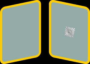 NSFK 고르제 패치