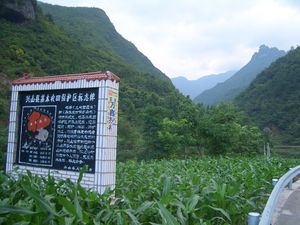 량타이 강 계곡 가오차오 향 근처